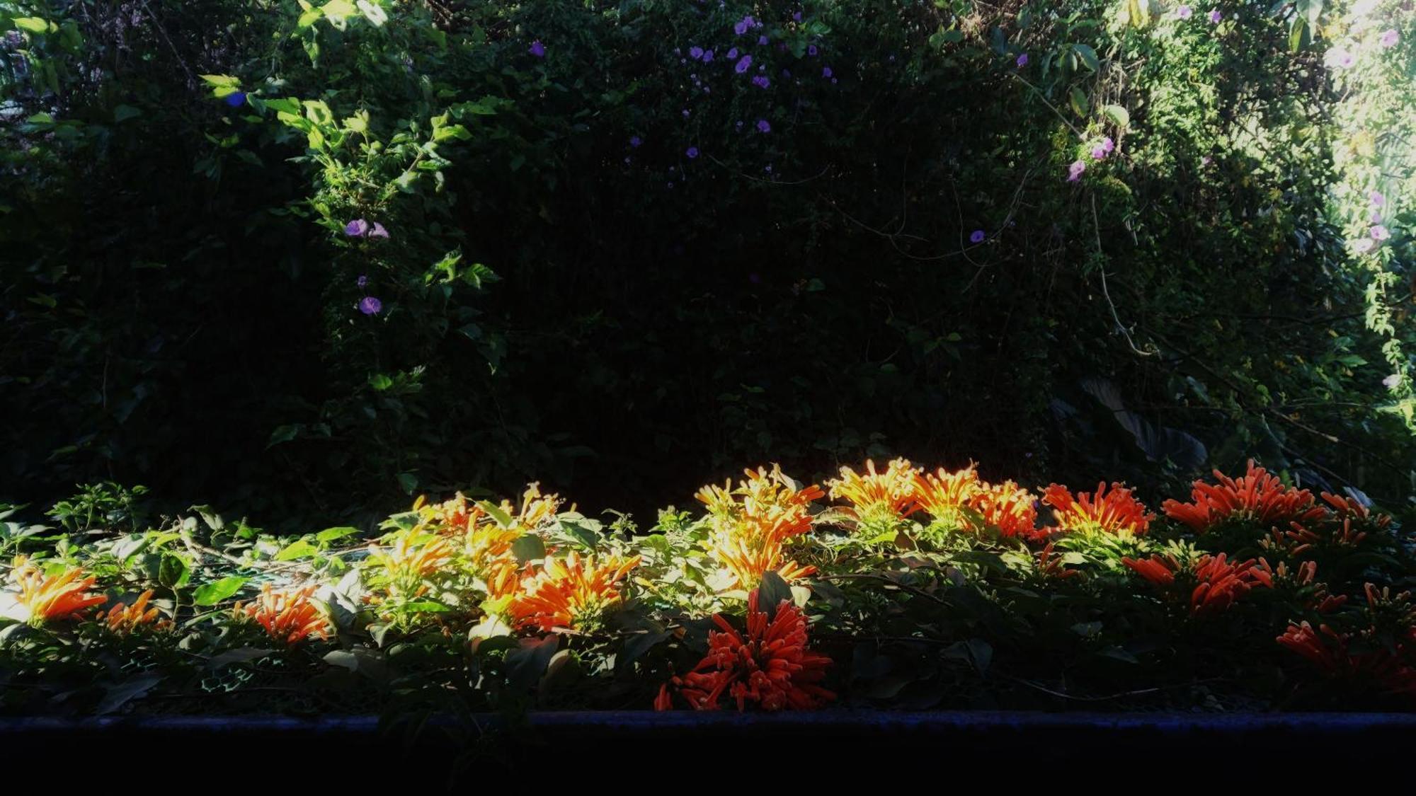 Dalat Inn Homestay 외부 사진