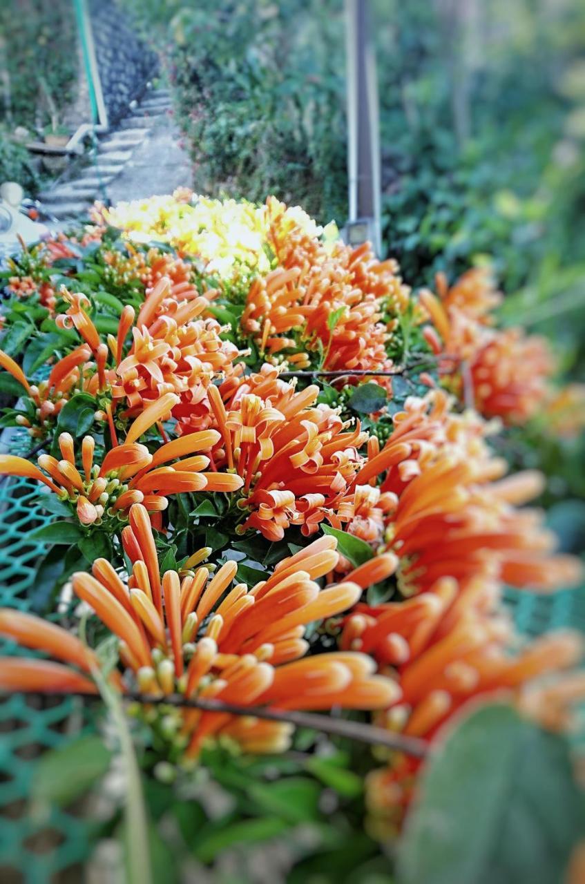 Dalat Inn Homestay 외부 사진