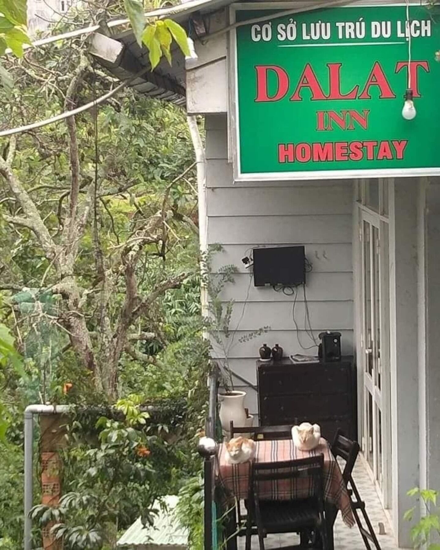 Dalat Inn Homestay 외부 사진